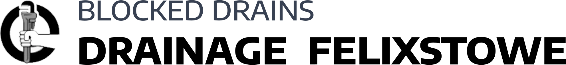 website logo